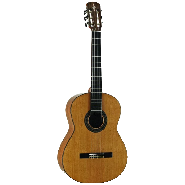 Alvarez AC65 - Classical Guitar (Cedar Top)