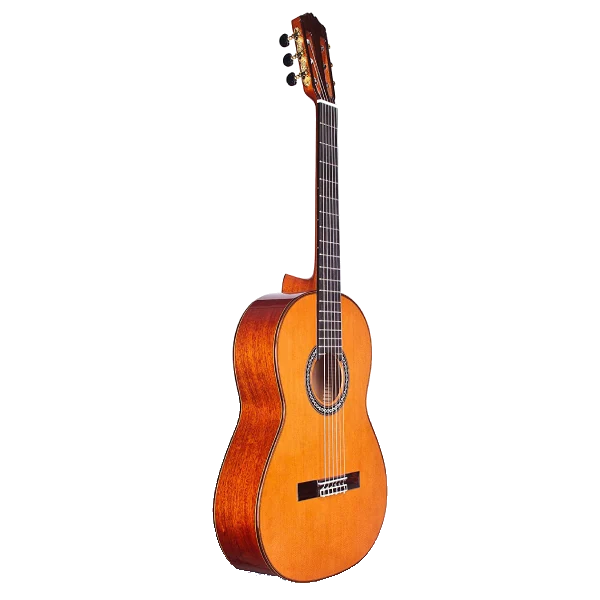Cordoba C9 Parlor Small Body Classical Acoustic Nylon String Guitar