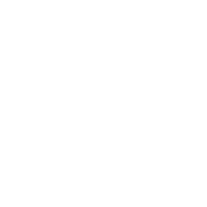 University of Hawaii at Manoa logo
