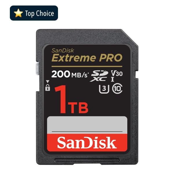 SD Memory Card (32GB - 1TB options)